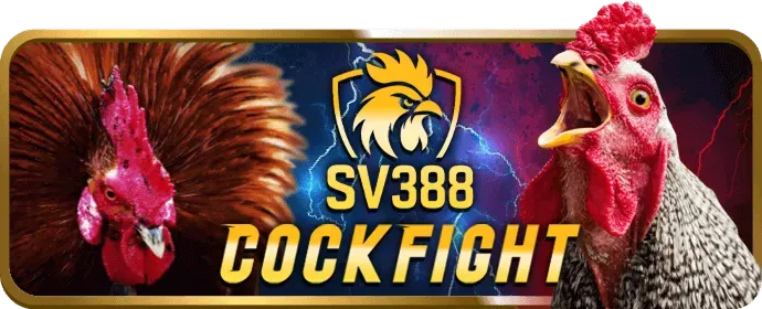 Chương trình hoàn trả hàng tuần bwin app
